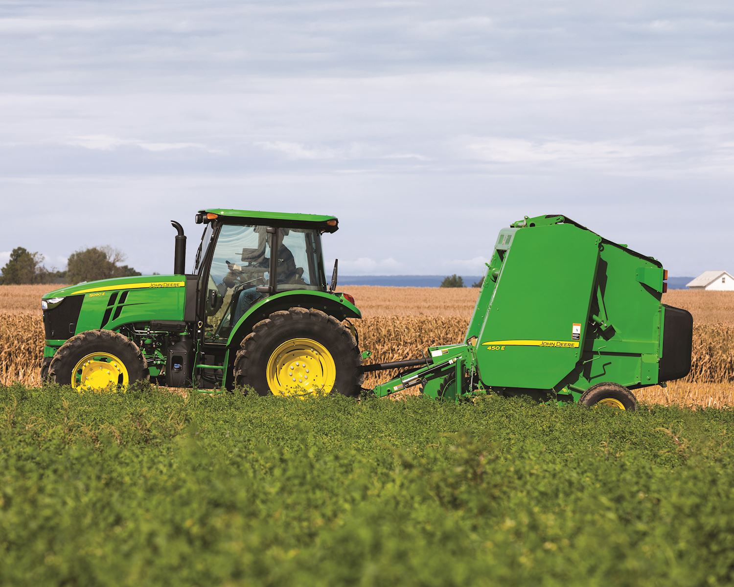 Hay + Forage